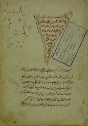 غلاف الأدب المفرد