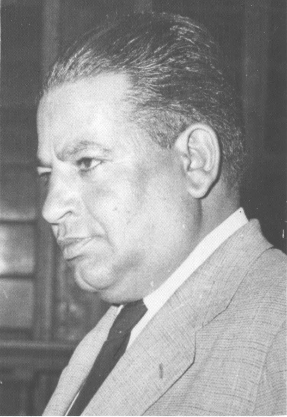 صورة محمد سعيد العريان